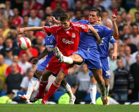 迷泼了一盆 迷泼了一盆